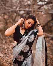 Load image into Gallery viewer, Kala Niketan Handloom Silk Saree