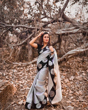 Load image into Gallery viewer, Kala Niketan Handloom Silk Saree