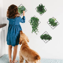 Load image into Gallery viewer, 3D Wall Stickers - Plants (Pack Of 5) (4.9 ⭐⭐⭐⭐⭐ 92,720 REVIEWS)