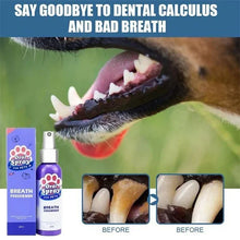 Load image into Gallery viewer, Pet Teeth Cleaning Spray-💥💥
