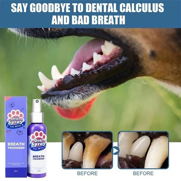 Pet Teeth Cleaning Spray-💥💥