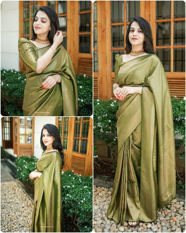 Kala Niketan Light Green Colored with Golden Zari Designer Soft Silk Saree